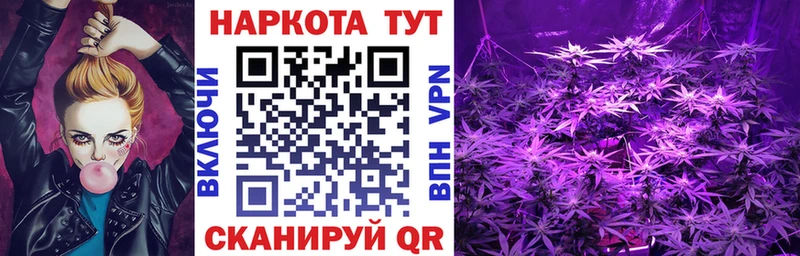 Как найти наркотики Нязепетровск Конопля Псилоцибиновые грибы Меф мяу мяу