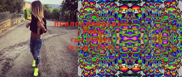МДПВ Аркадак