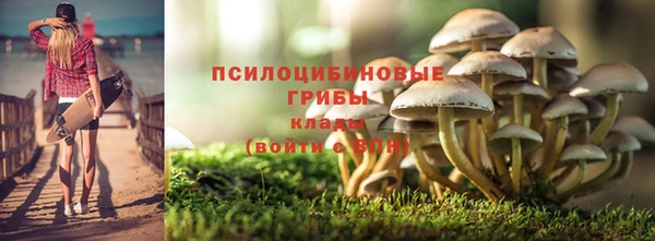 МДПВ Армянск