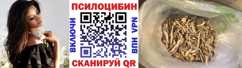 дарнет шоп  Нязепетровск  Галлюциногенные грибы мицелий 